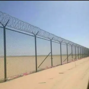 شبوك شبوك